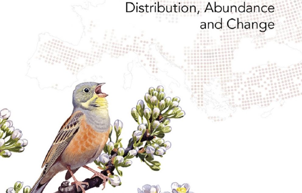 Pre-publication offer of the European Breeding Bird Atlas 2 | EBCC - EBCC